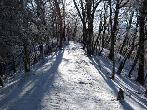 20191129hike (421)